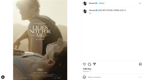 Lilies Not for Me 2025